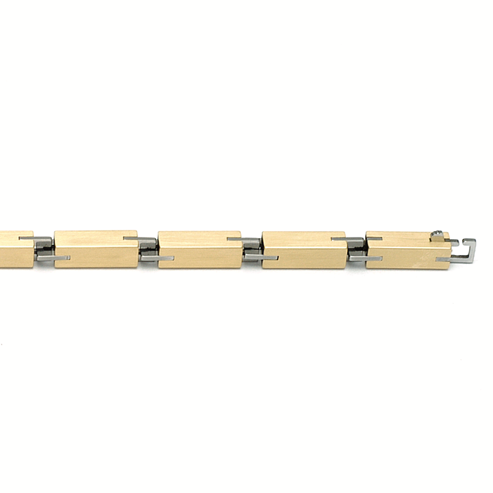 Armband AV-E 2 carl dau